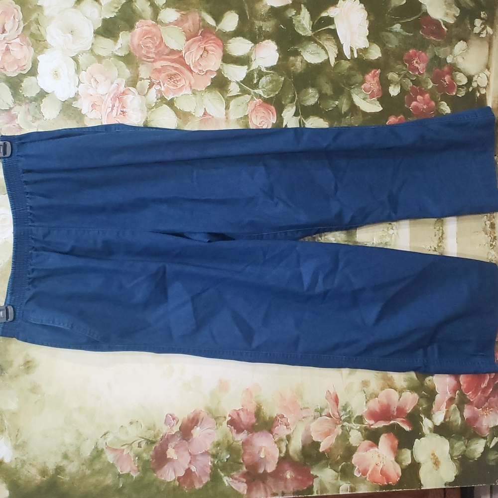 2/$5 Alfred Dunner Sz 14P jeans